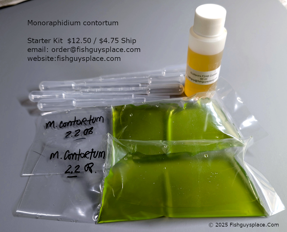 M. contortum a;gae starter kit