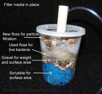 filter assembly