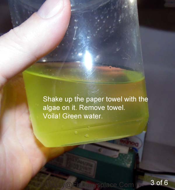 green water