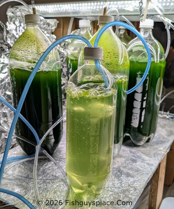 1 liter culture components