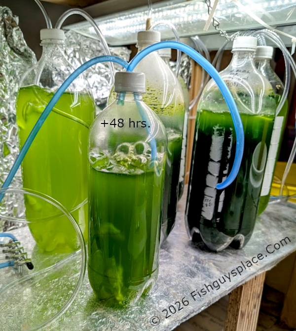 1 liter culture components