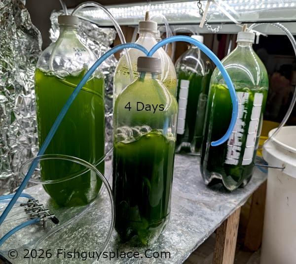 1 liter culture components